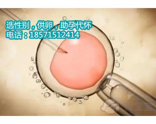 武汉正规捐卵供卵平台,夫妻长时间异地可以人工受孕吗