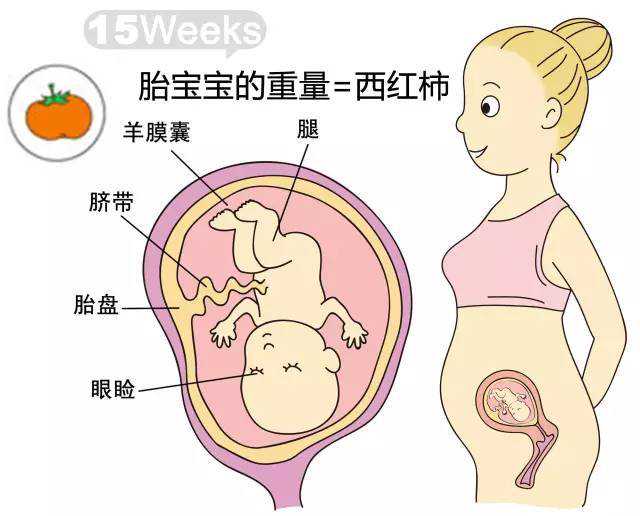 广东正规助孕代生,尿常规酸碱度是什么？尿常规酸碱度有什么意义？